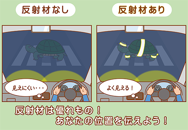 反射材の有無で比較